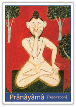 Pranayama & Conscience