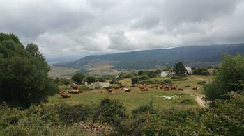 Quand Yoga et cheval se mêlent en Andalousie…
