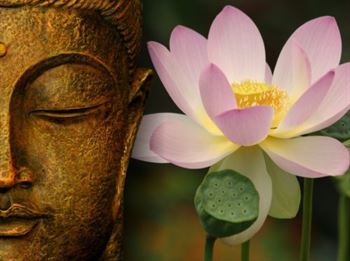 buddha wallpapers photos pictures lotus e1477821076560