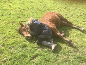 0b32743c 1518 4685 bbca a094b4a3269e 300x225 2