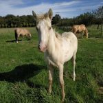 0d9a5c04 e291 48d3 ab14 36560e3f22db min 150x150 1