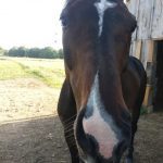 1fcf86e7 ca65 446a ae68 7d3e9ec0b3b2 min 150x150 1