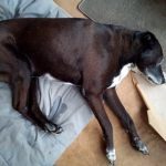 32b66129 88ed 4d8e b076 9679b944384f min 150x150 1