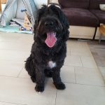 3f25a02d e139 475e a045 2874400d9d50 min 150x150 1