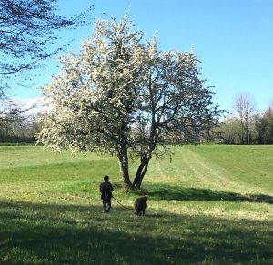 Oasis Un an deja 10 e1622049910487 300x292 1