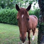 b6a46628 eed9 48f5 bd0c 0d707fc49b15 min 150x150 1