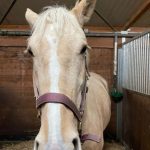 bb524840 c032 4782 8618 d735764ea758 min 150x150 1