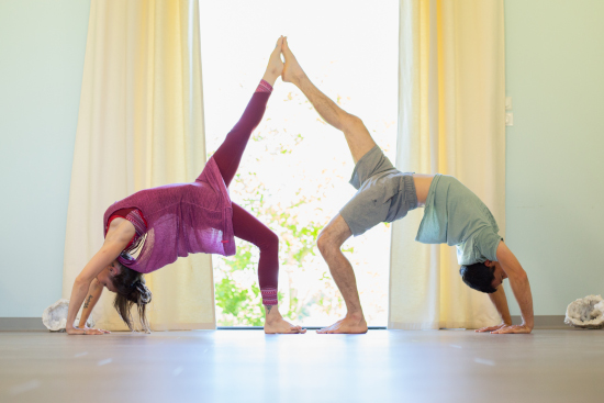 formation yoga 500h 550px