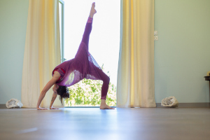 formation yoga alliance 300