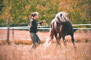 Sejours bien etre cheval cavalier 300px