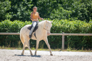 biomecanique du cheval et cavalier formation 300px