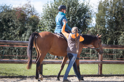 formation biomecanique cheval et cavalier bien etre equin