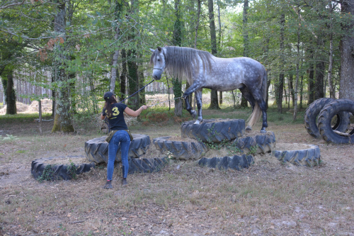 mountain trail solemio