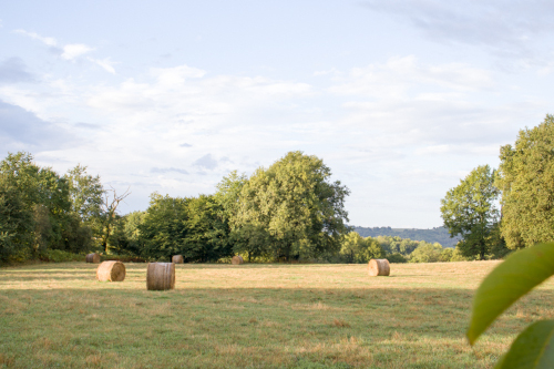 nutrition ayurveda formation 500px