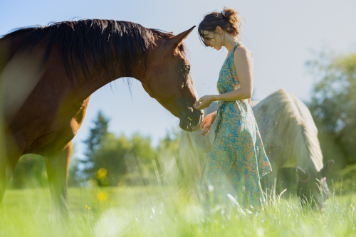 therapie naturelle equine 500px