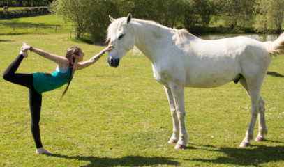 vignette yoga du cavalier fit