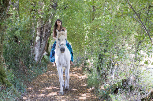 yoga et cheval equitation posture
