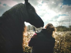 Formation nutrition ayurveda bien etre equin