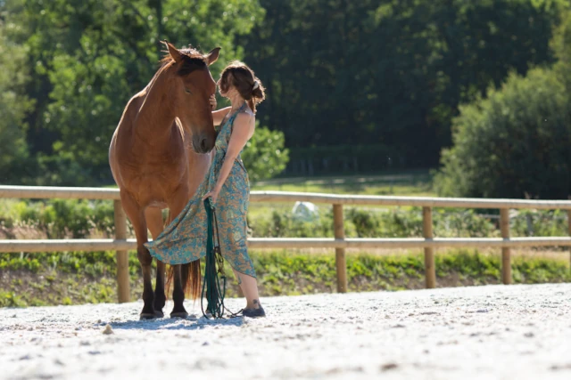 Formation bien etre equin