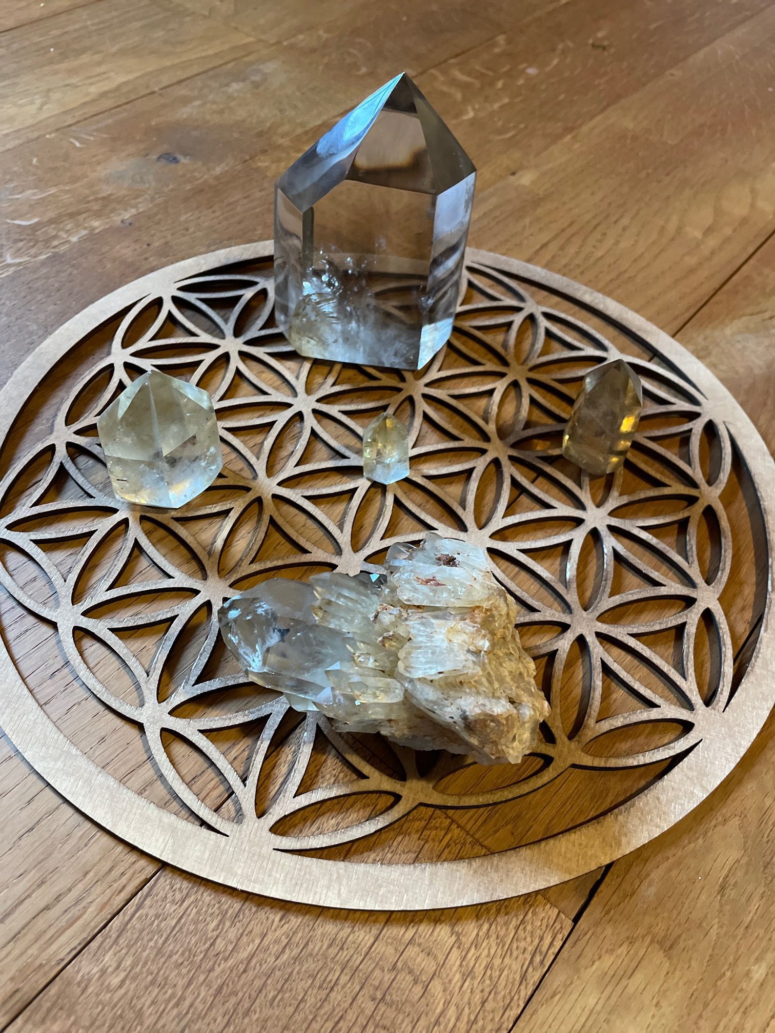 Lithothérapie équine – la Citrine, petite lumière au coeur de l’hiver