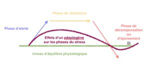 Effets des plantes adaptogènes chez les chevaux