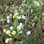 huiles essentielles et olfactothérapie