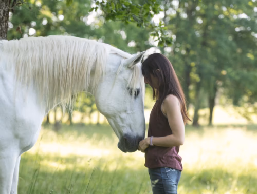 DSC_1802-scaled - copie